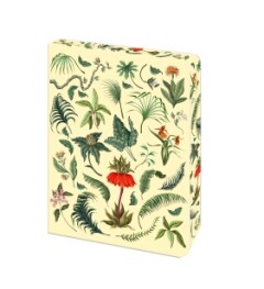 The Fern Journal The Fern Journal