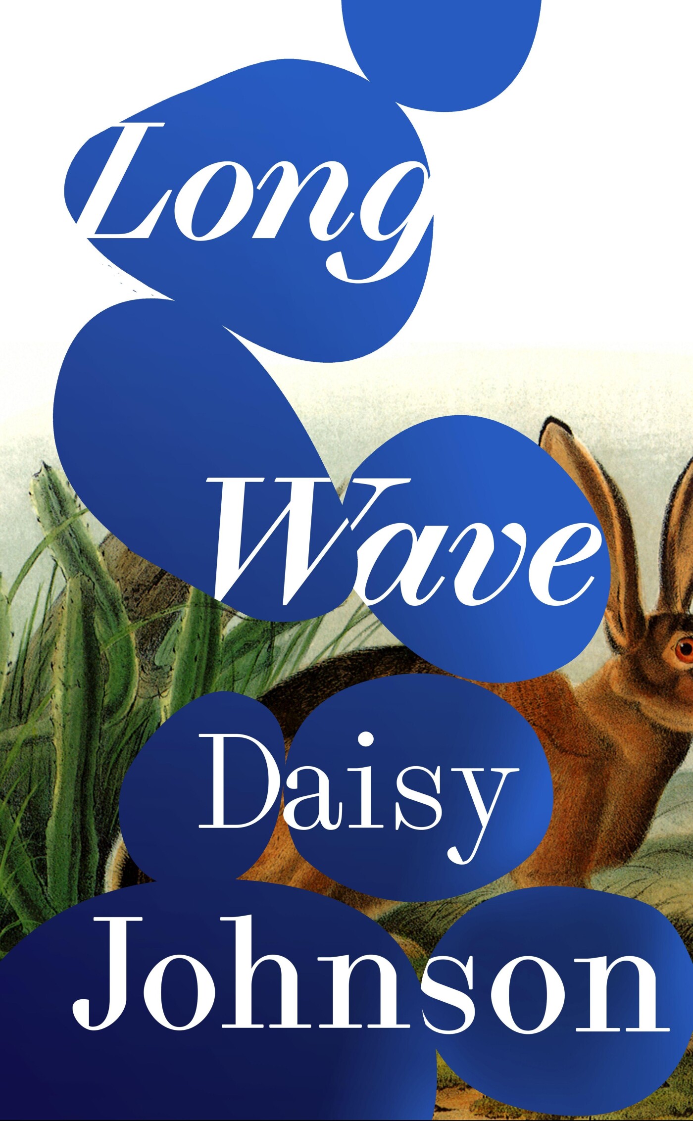Long Wave Long Wave