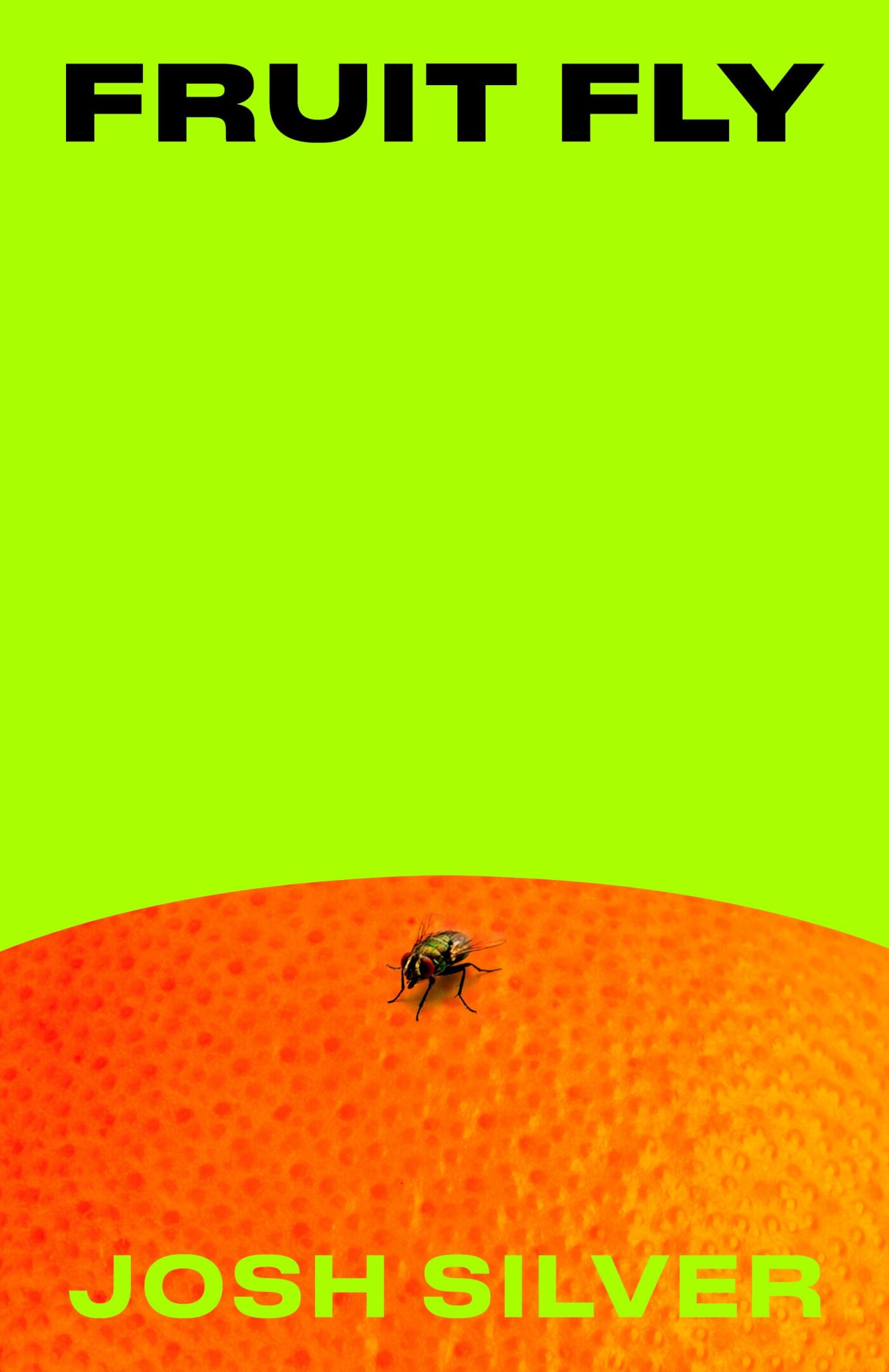 Fruit Fly Fruit Fly