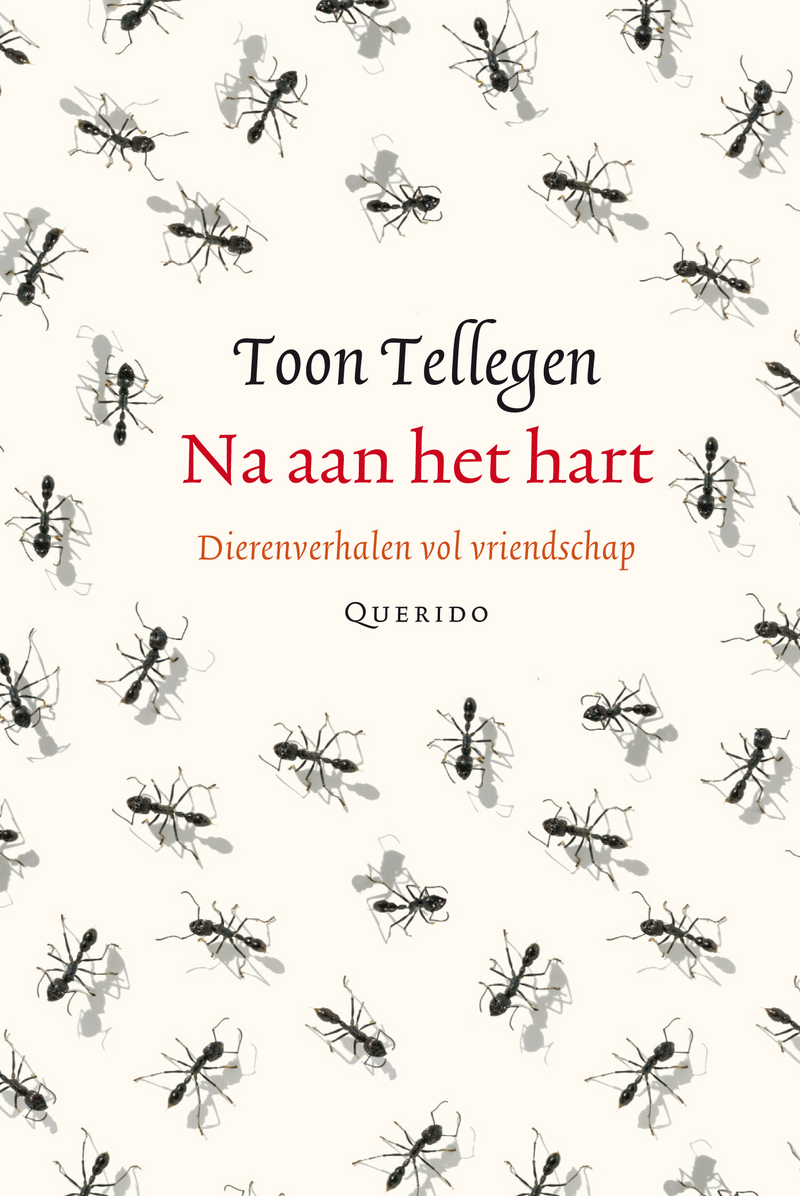 Na aan het hart