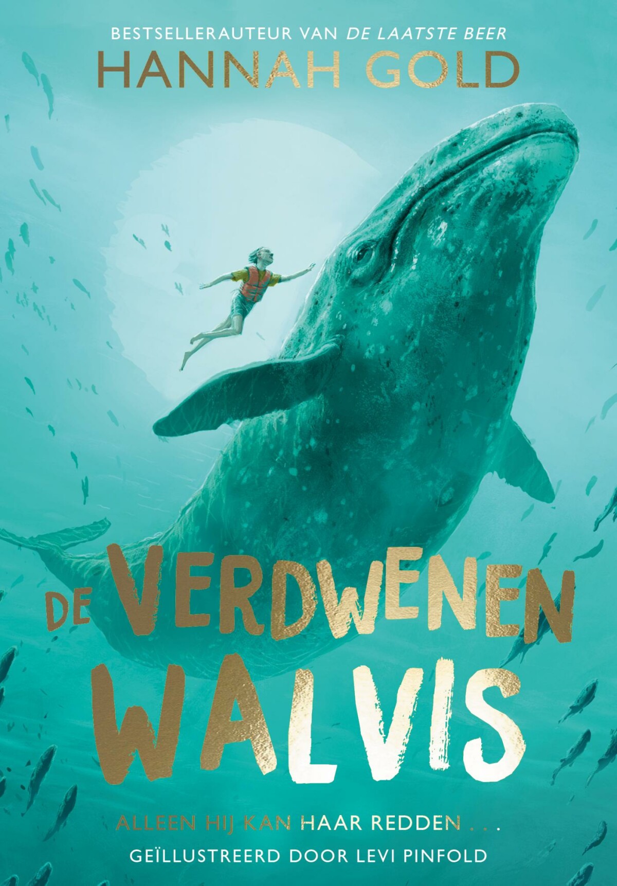 De verdwenen walvis