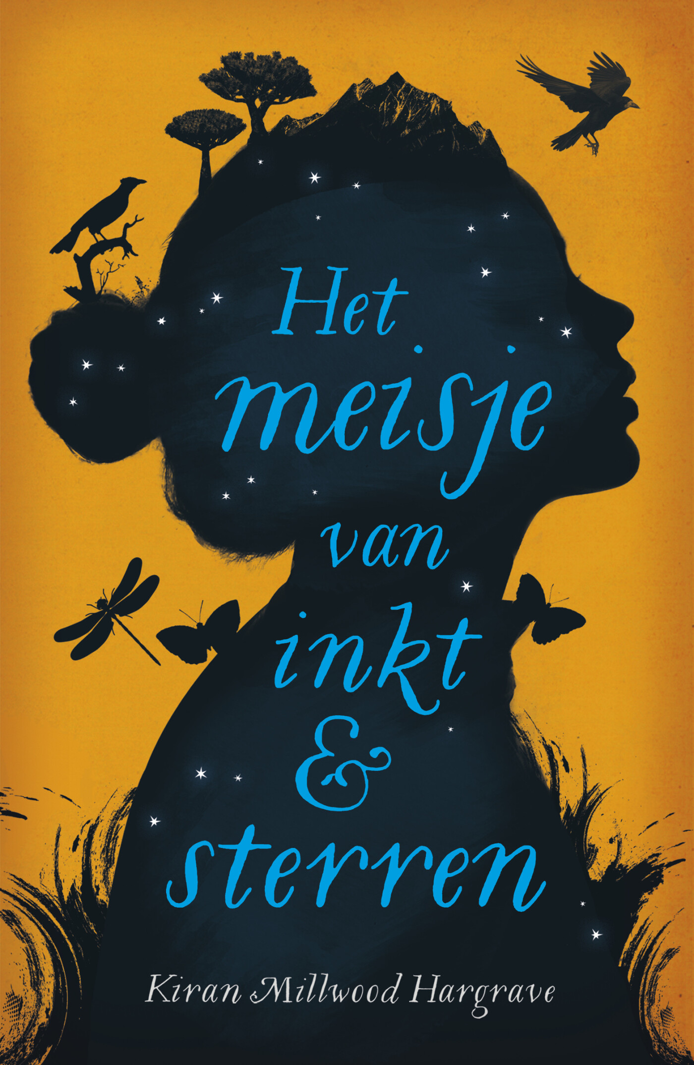 Het meisje van inkt en sterren Het meisje van inkt en sterren