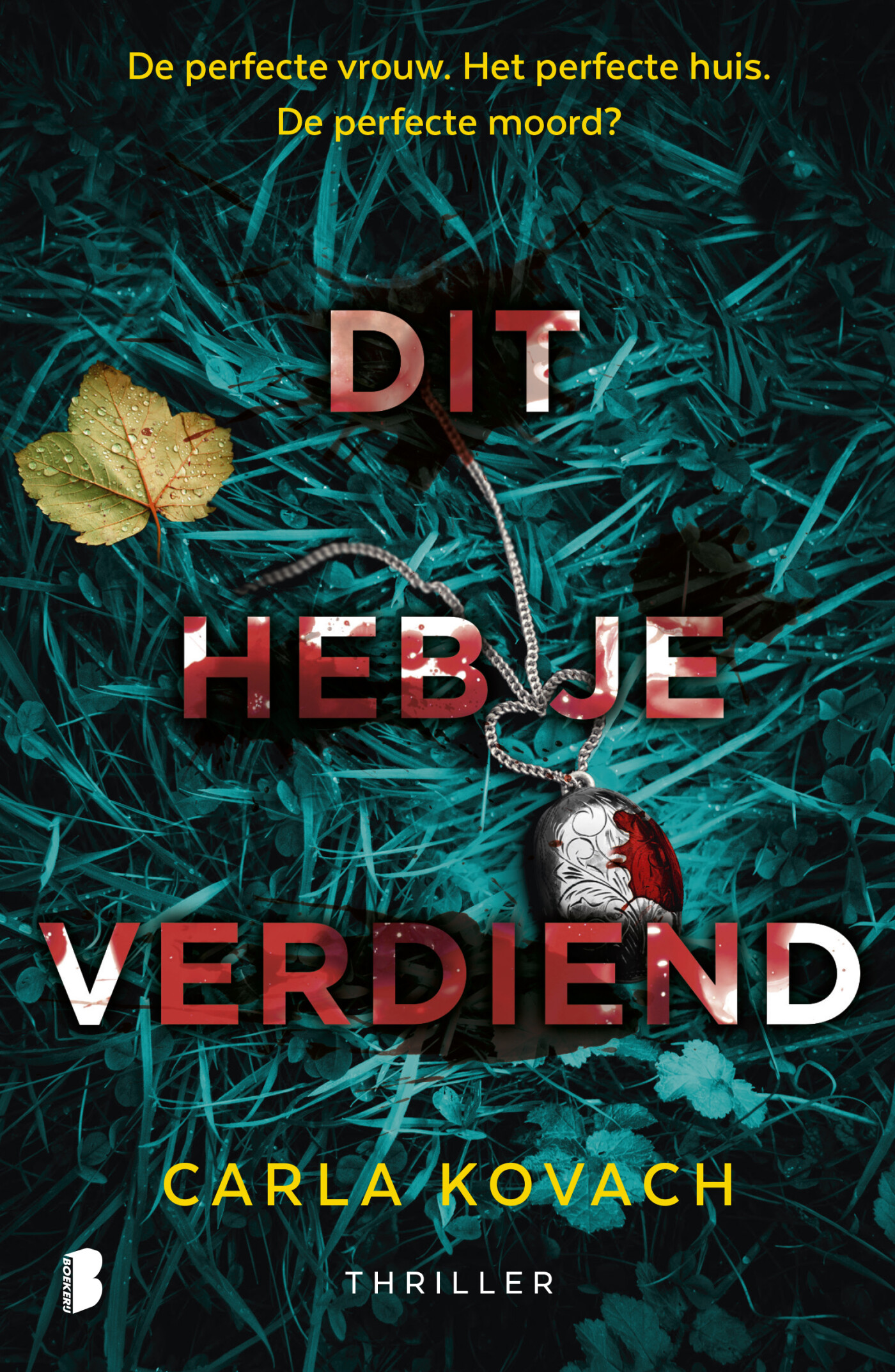 Dit heb je verdiend
