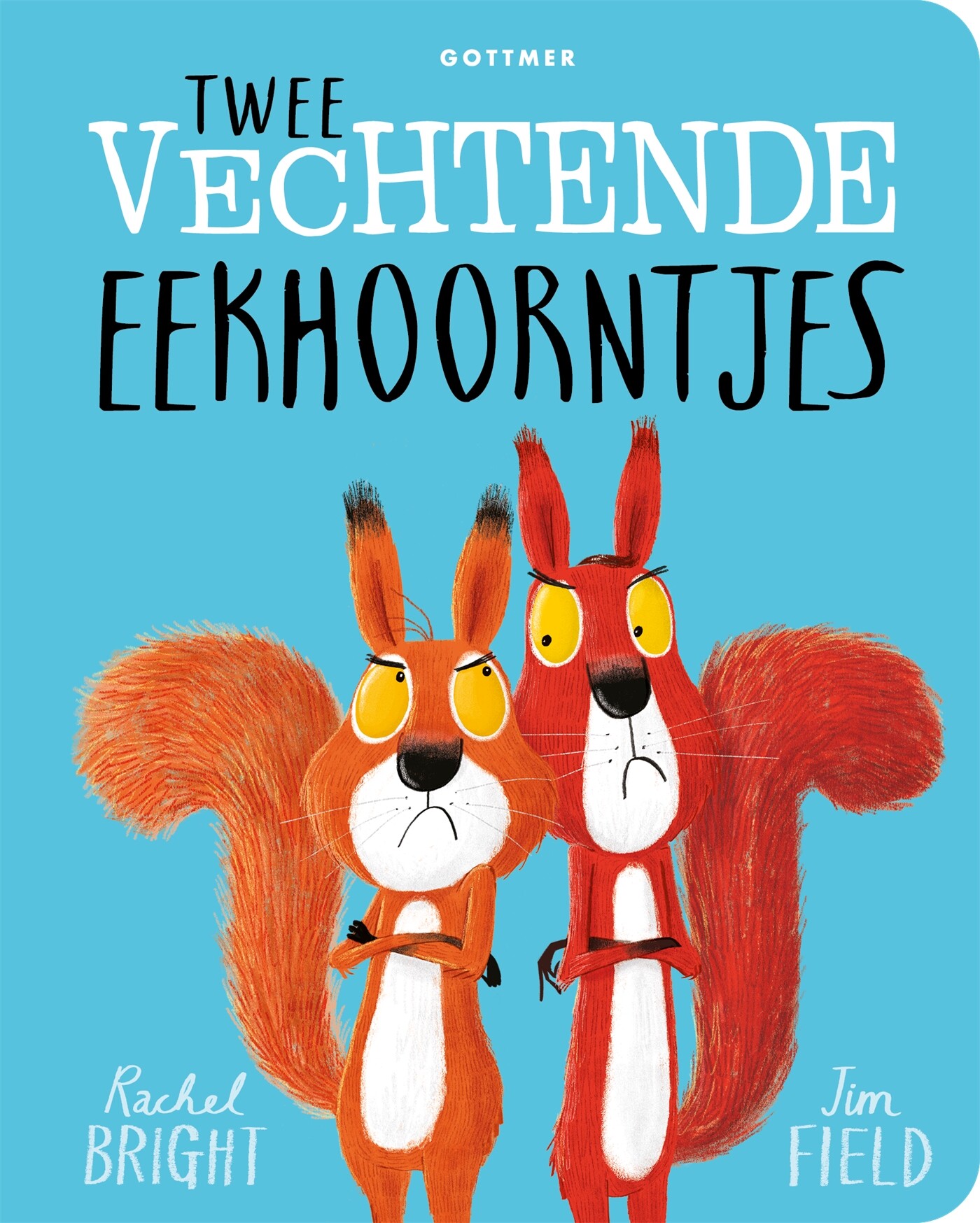 Twee vechtende eekhoorntjes Twee vechtende eekhoorntjes