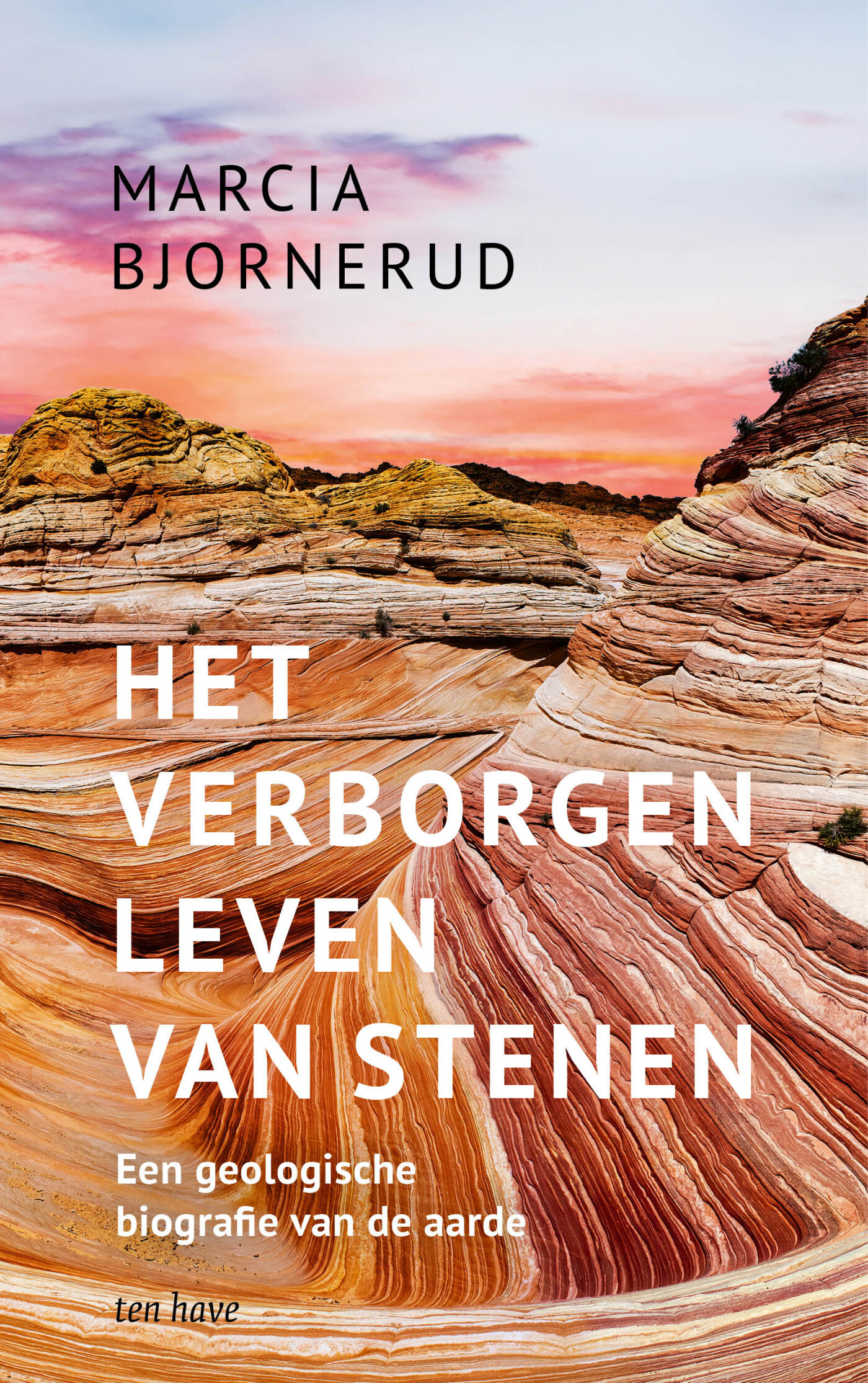 Het verborgen leven van stenen Het verborgen leven van stenen
