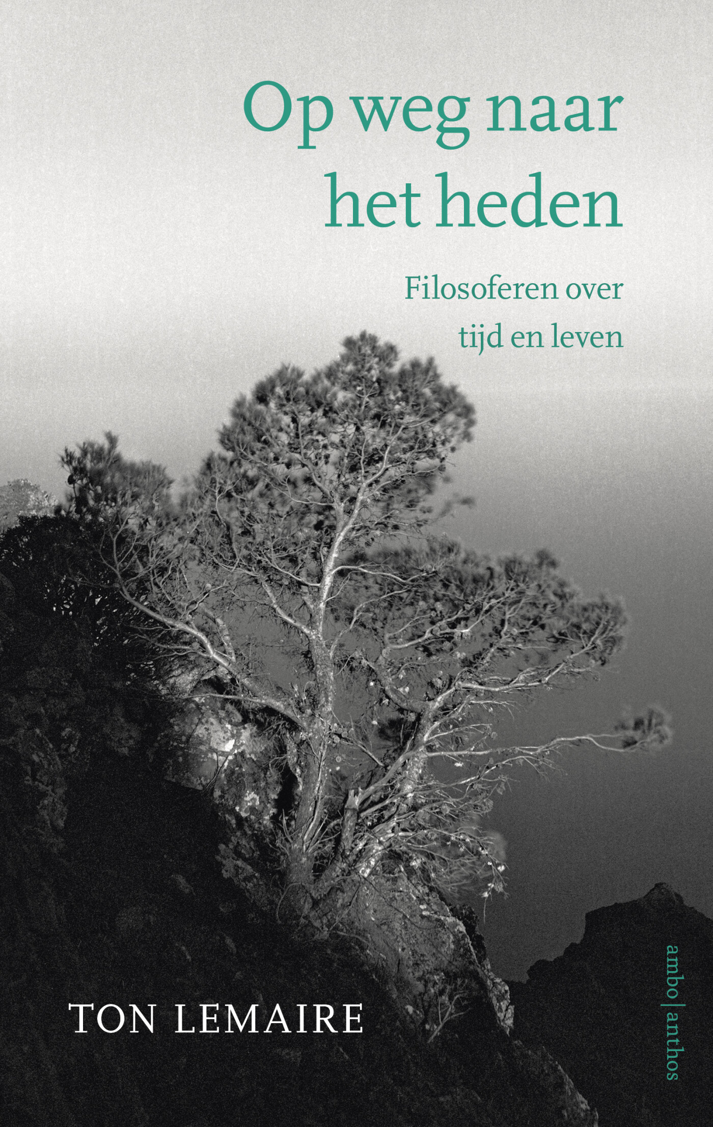 Op weg naar het heden