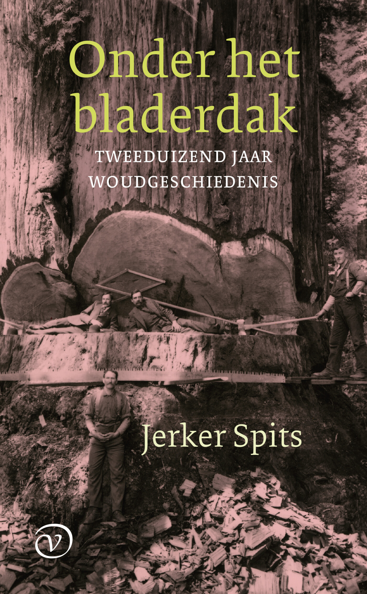 Onder het bladerdak