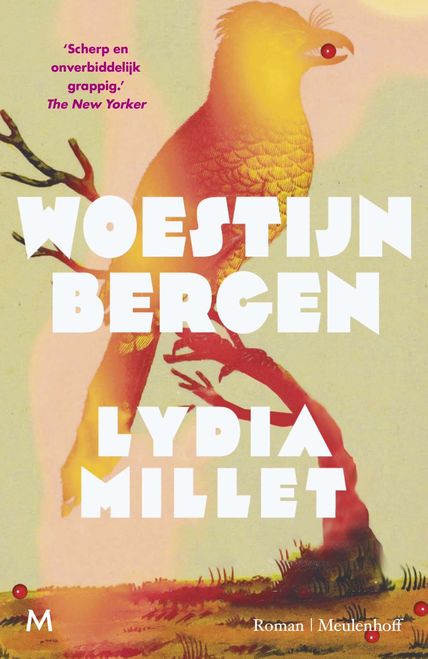 Woestijnbergen