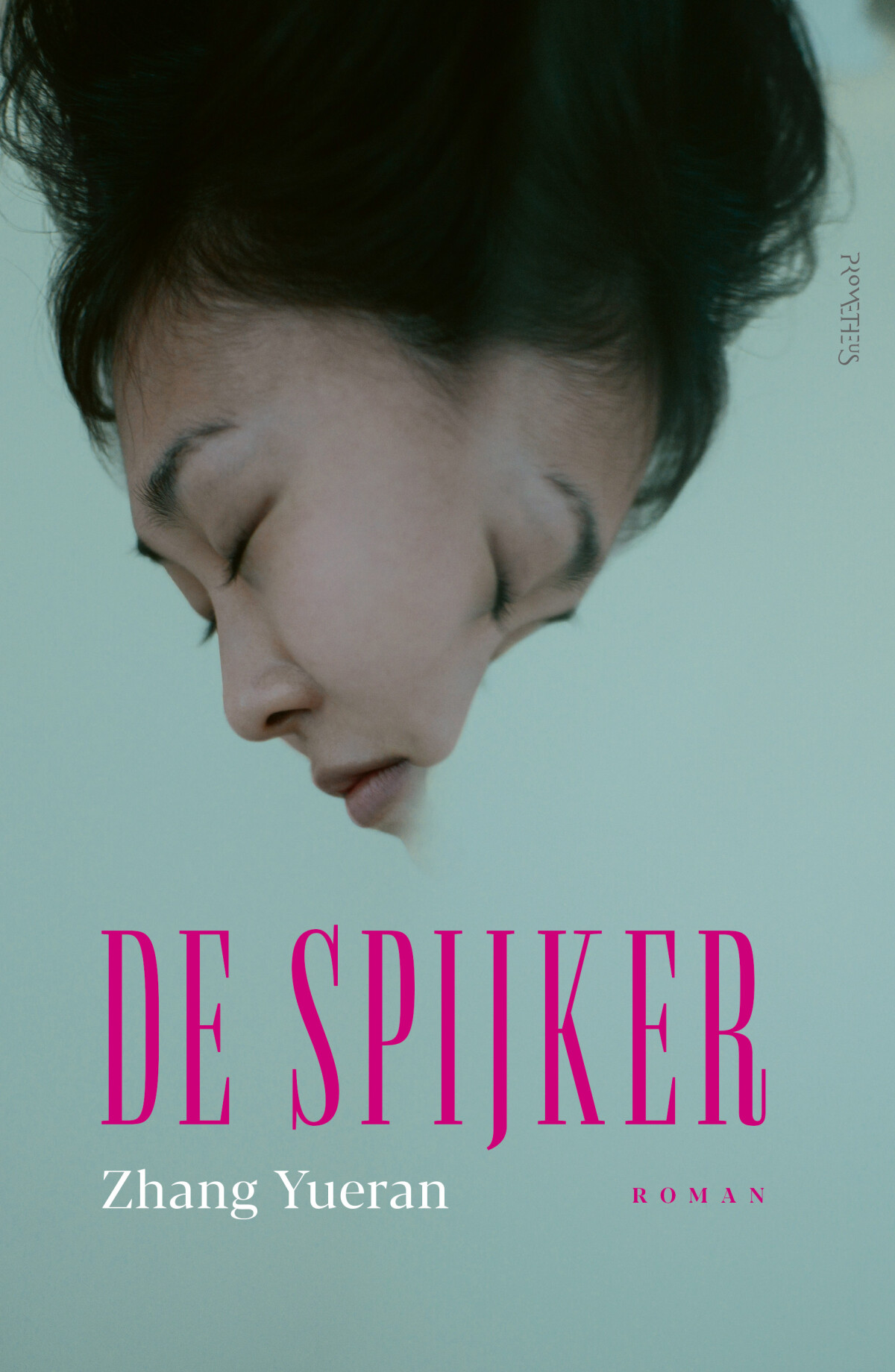 De spijker De spijker