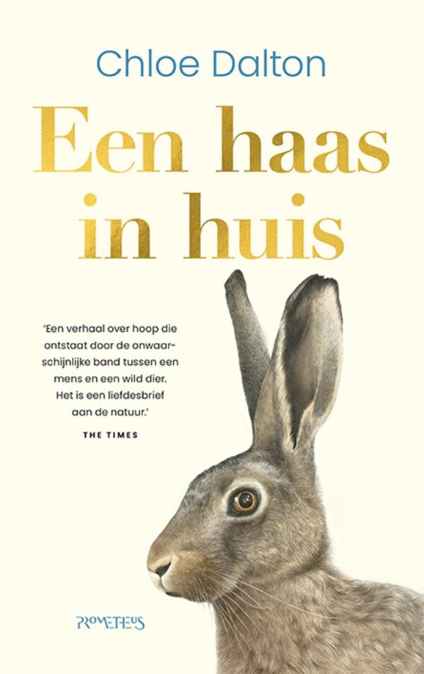 Een haas in huis Een haas in huis