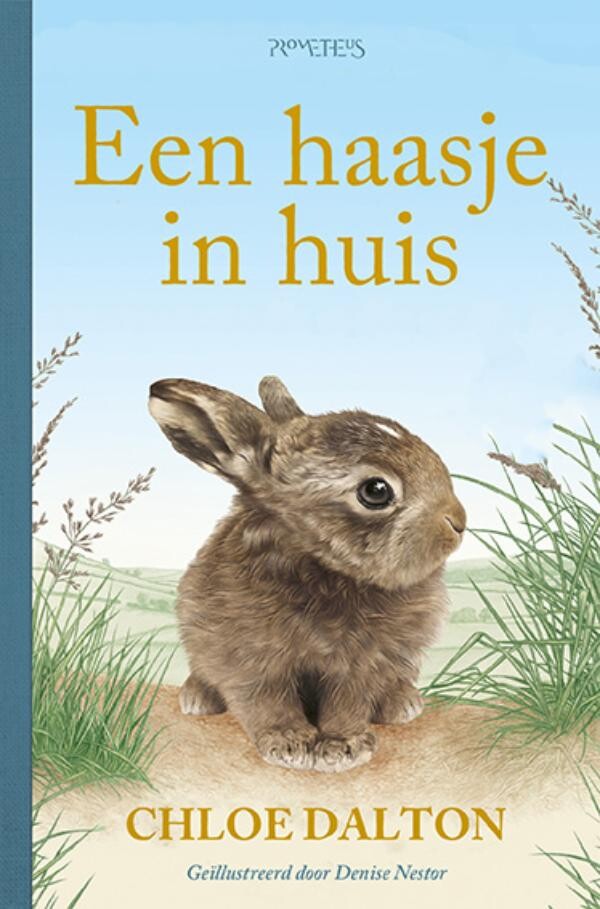 Een haasje in huis Een haasje in huis