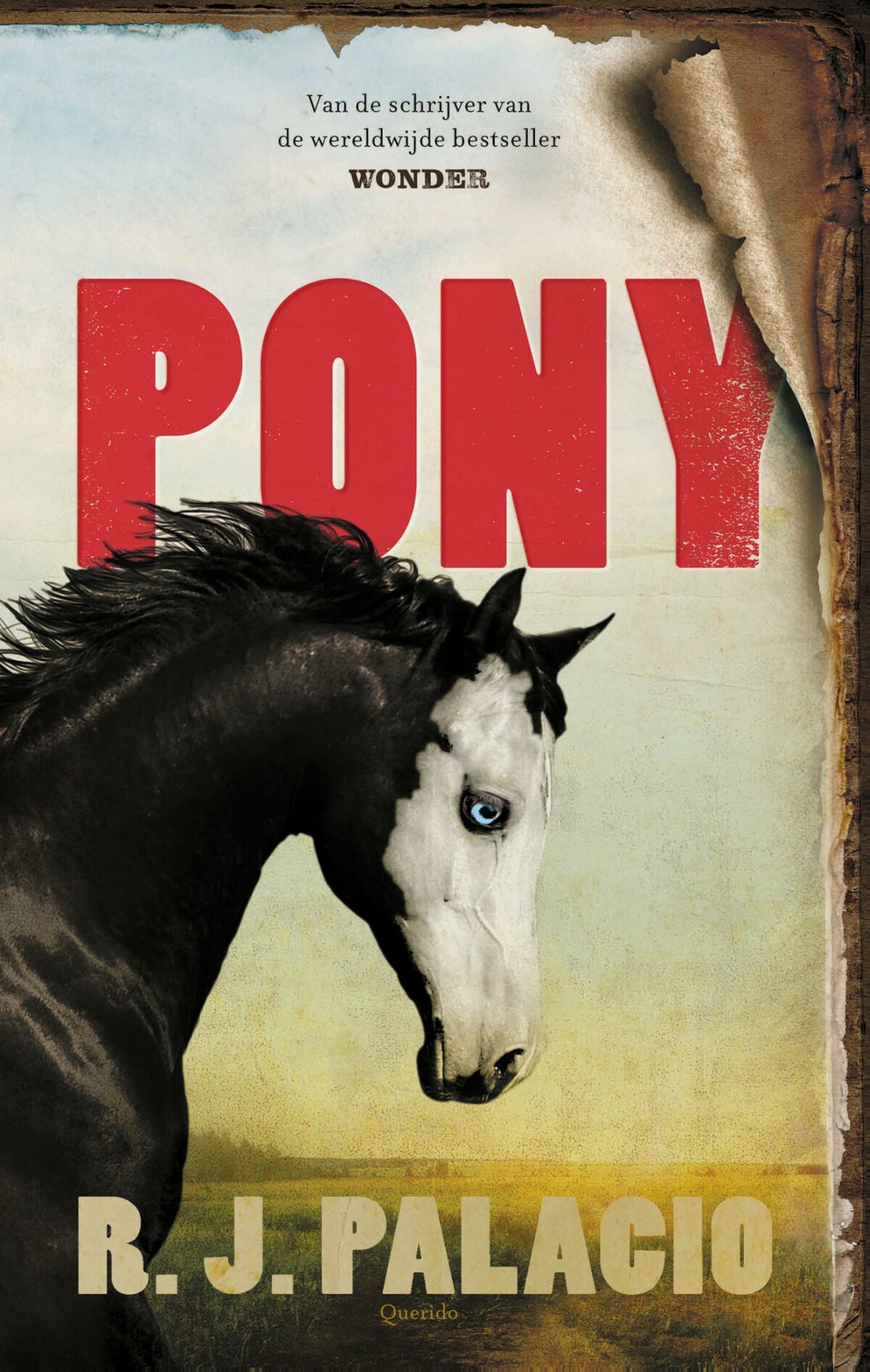 Pony