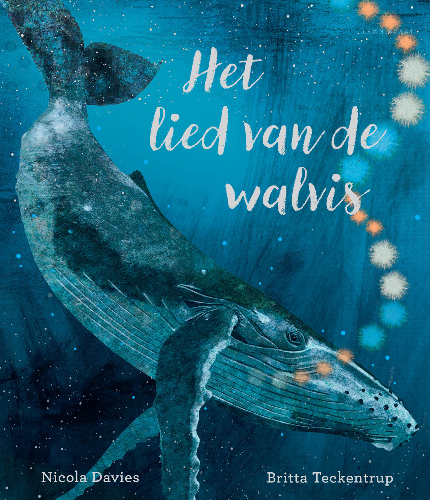 Het lied van de walvis