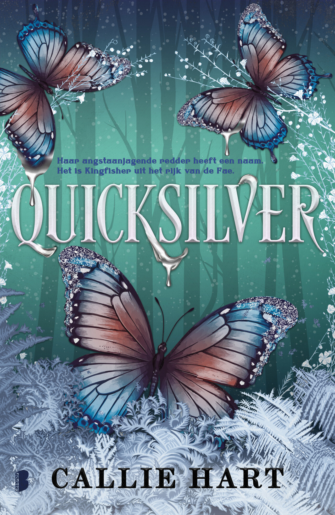 Quicksilver Lt.ed.