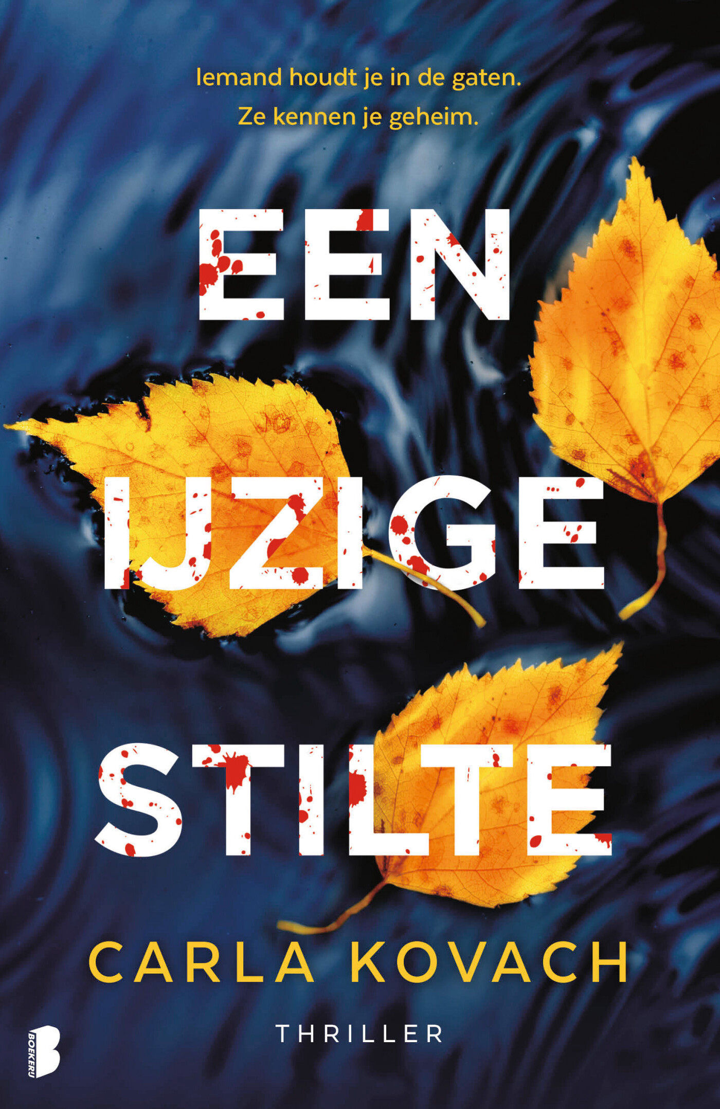 Een ijzige stilte Een ijzige stilte