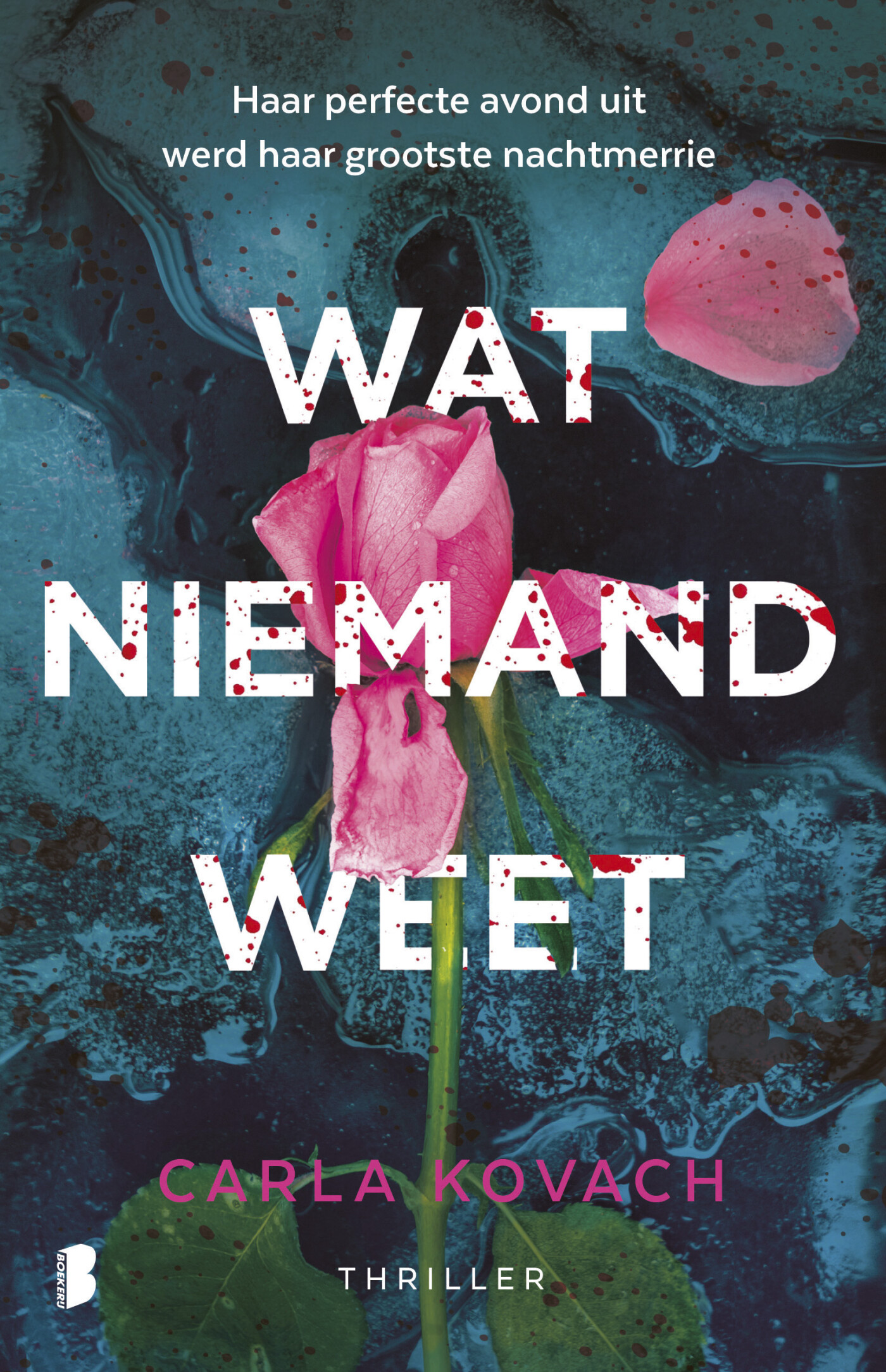 Wat niemand weet Wat niemand weet