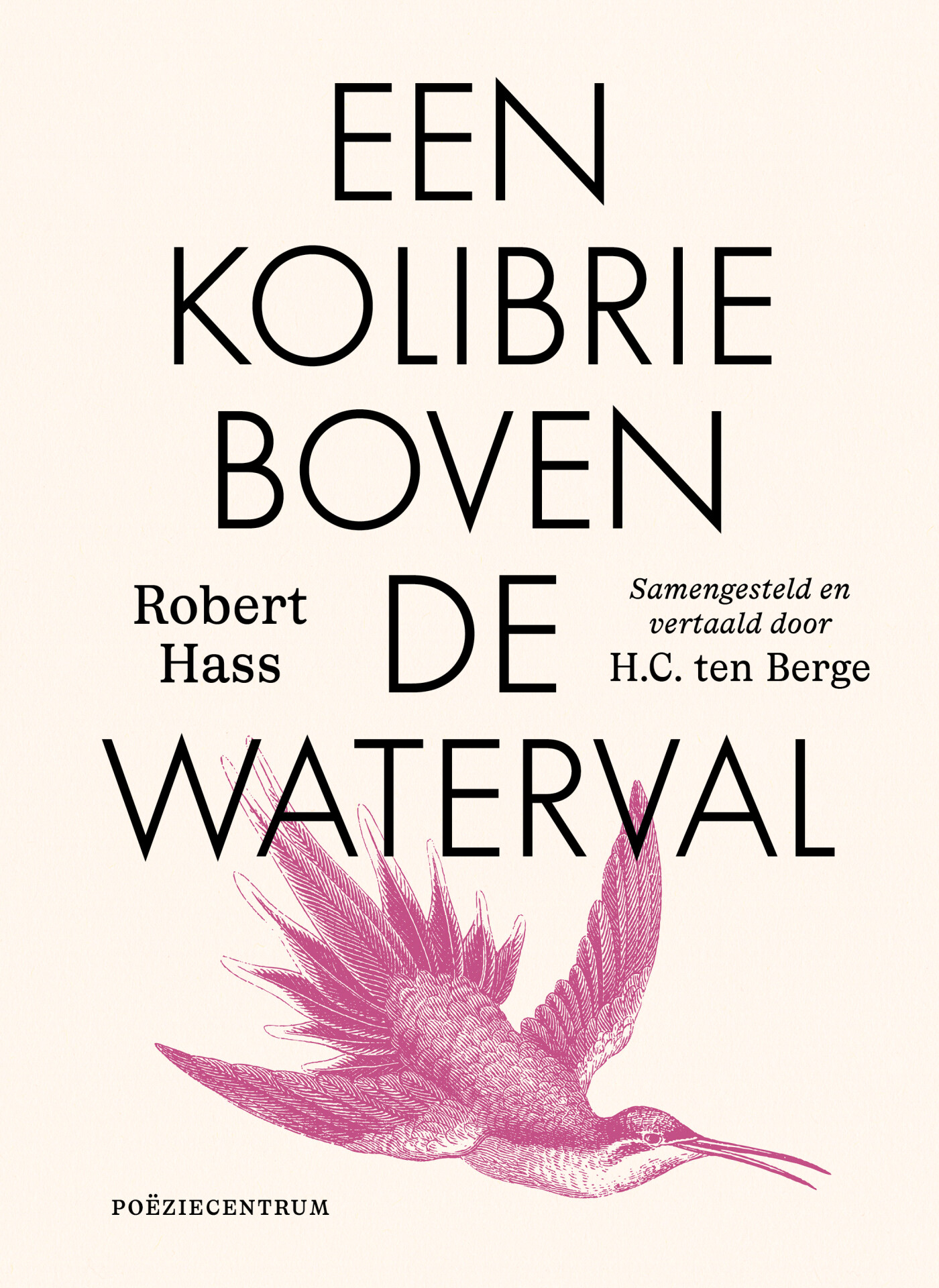 Een kolibrie boven de waterval Een kolibrie boven de waterval