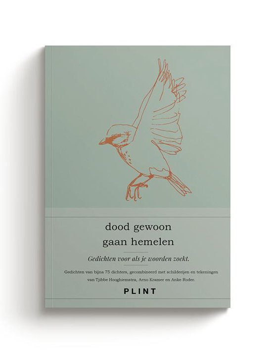 Dood gewoon gaan hemelen