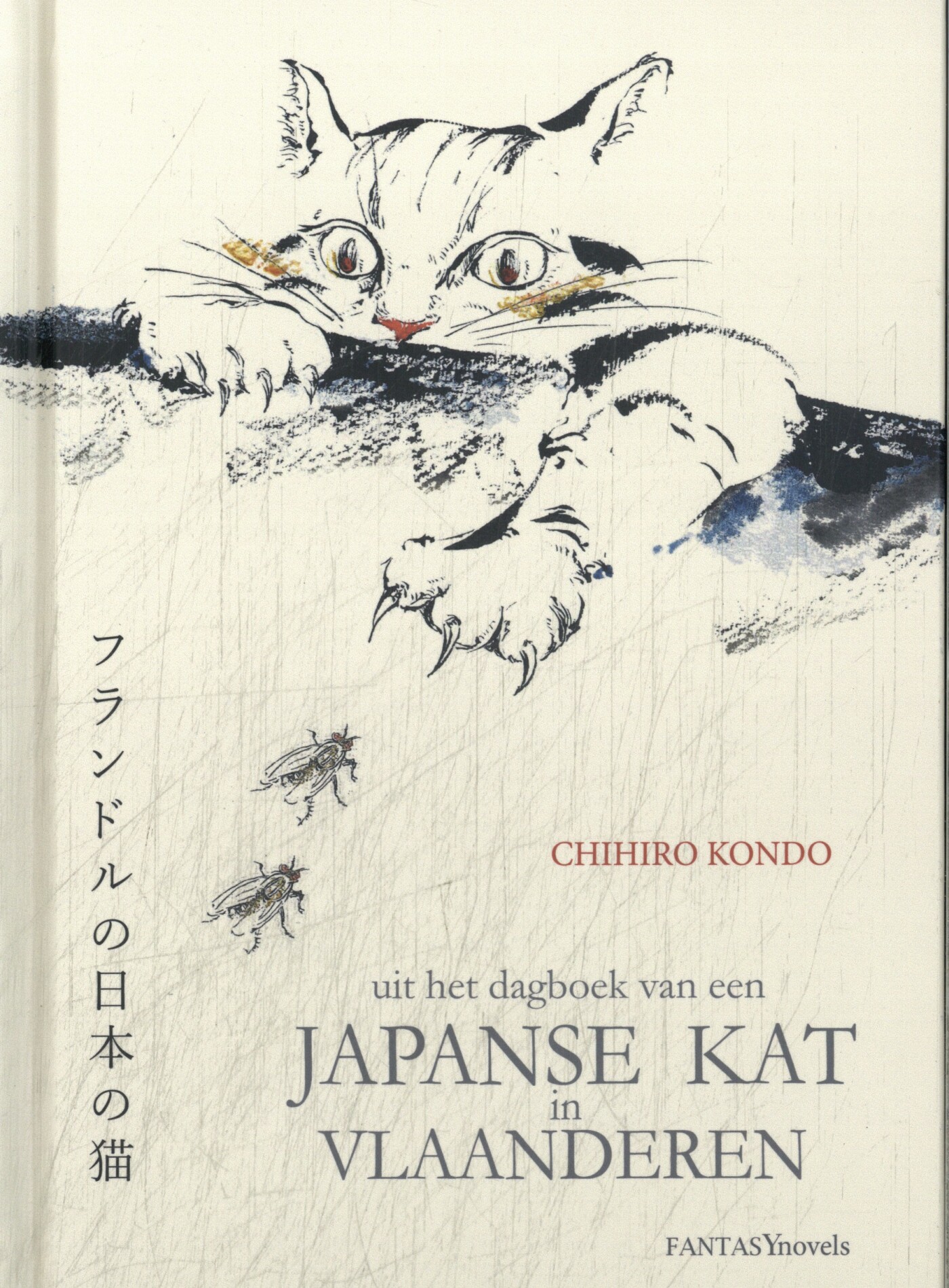 Japanse kat in Vlaanderen Japanse kat in Vlaanderen