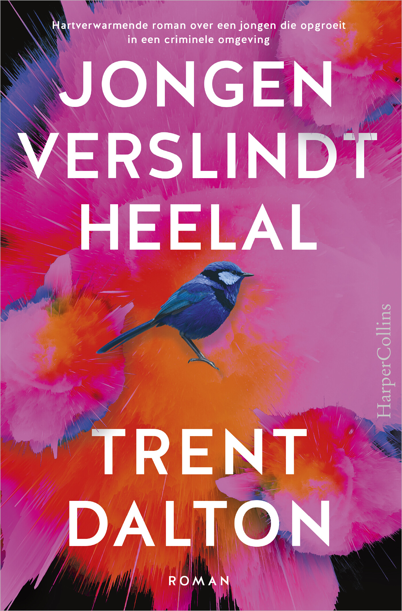 Jongen verslindt heelal Jongen verslindt heelal
