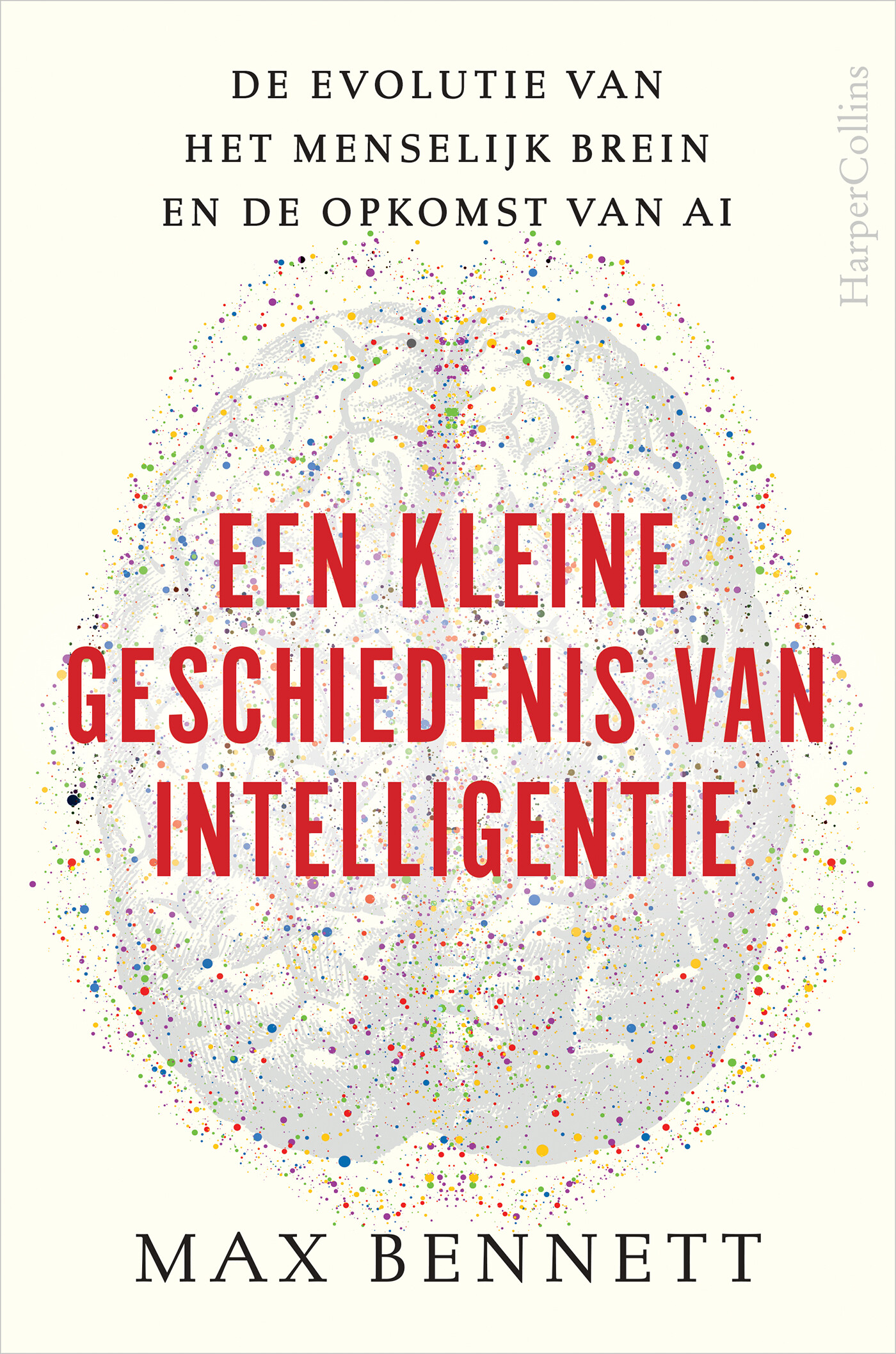 Een kleine geschiedenis van intelligentie