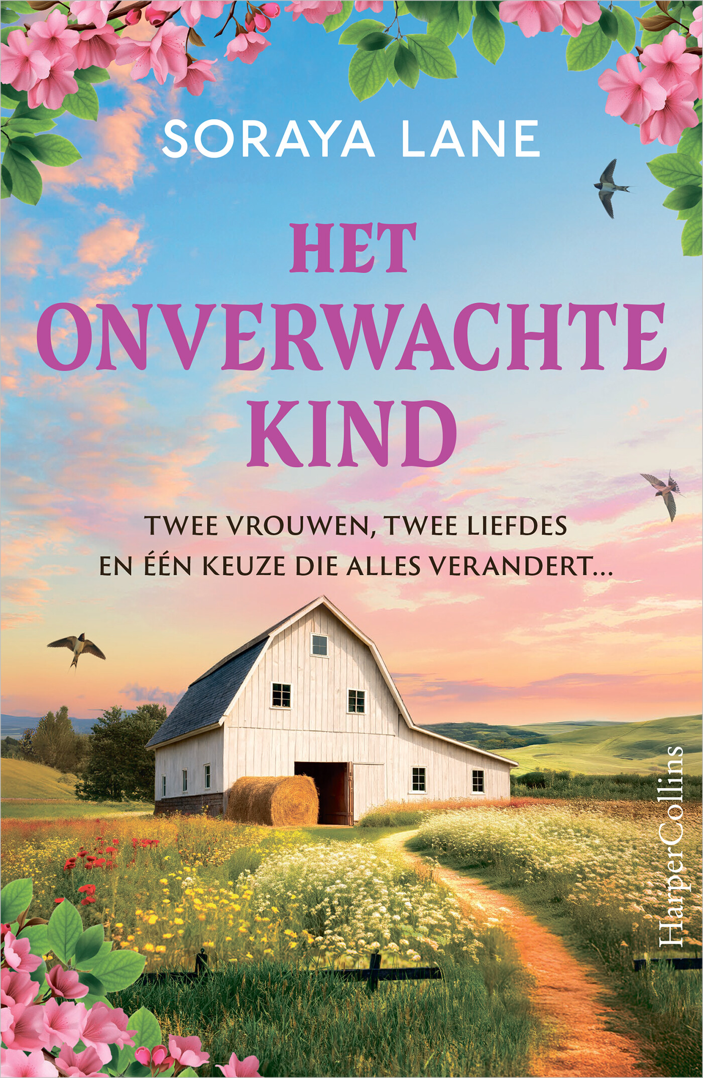 Het onverwachte kind Het onverwachte kind