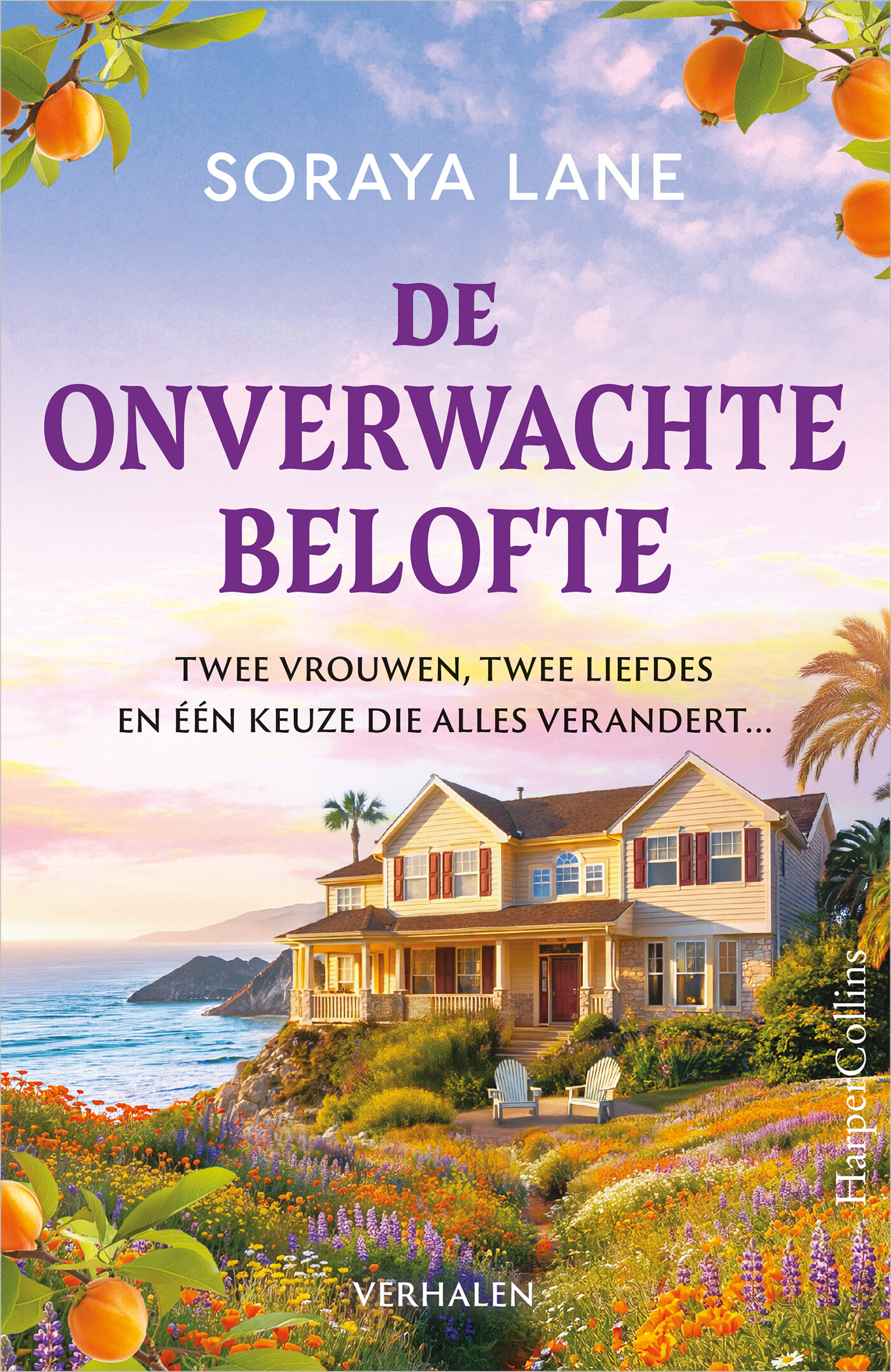 De onverwachte belofte