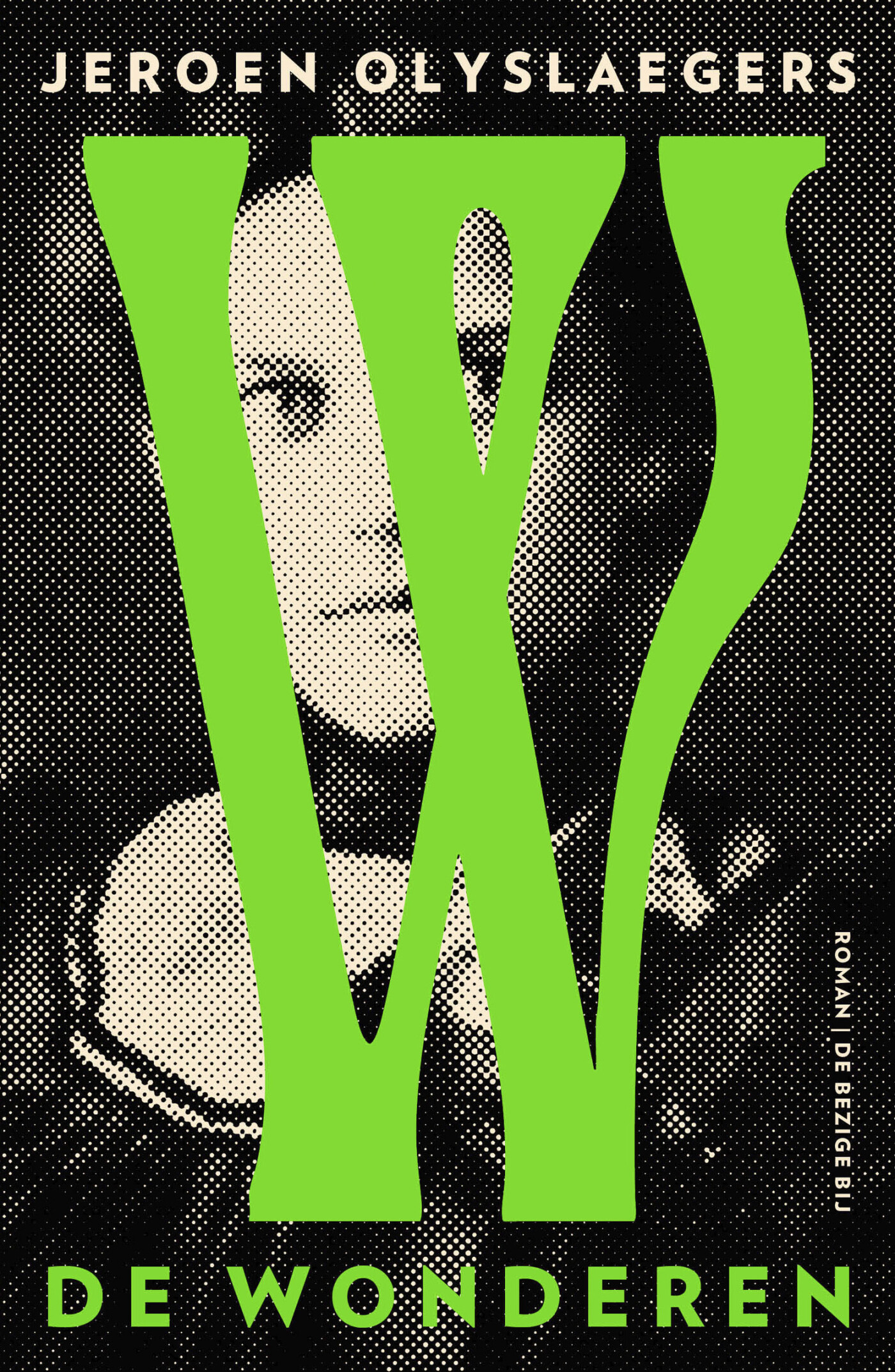 De wonderen De wonderen