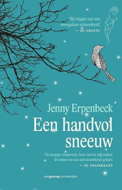 Een handvol sneeuw