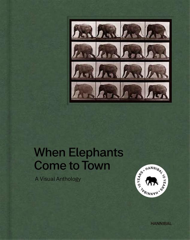 When elephants come to town