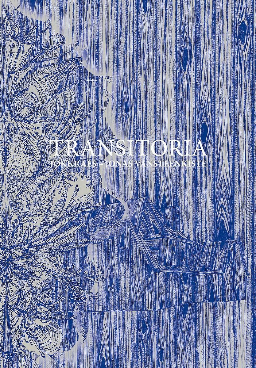 Transitoria - Joke Raes & Jonas Vansteenkiste