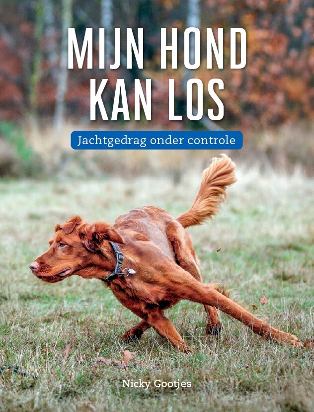 Mijn hond kan los Mijn hond kan los